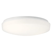 Ceiling Space Flush Mount