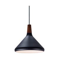 Nordic 1-Light Pendant