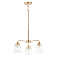 Acadia 3-Light Convertible Chandelier
