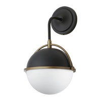 Duke 1-Light Wall Sconce