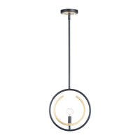 Clip 1-Light Mini Pendant/Semi Flush Mount