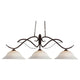 Z-Lite - Phoenix Linear Suspension - Lights Canada