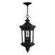 Hinkley - Raley Outdoor Pendant - Lights Canada