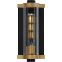 Opulent 1-Light Outdoor Wall Sconce