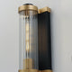 Opulent 1-Light Outdoor Wall Sconce