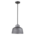 Acclaim - Barnes Outdoor Pendant - Lights Canada