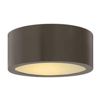 Luna Outdoor Ceiling Light