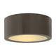 Hinkley - Luna Outdoor Ceiling Light - Lights Canada
