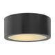 Hinkley - Luna Outdoor Ceiling Light - Lights Canada