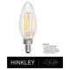 Hinkley - Edgewater Large Post Top or Pier Mount Lantern 12v - Lights Canada