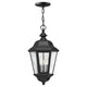 Edgewater Large Hanging Lantern