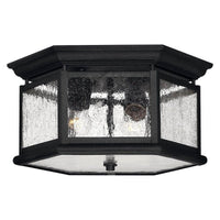 Edgewater Outdoor Ceiling Light