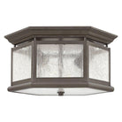 Hinkley - Edgewater Outdoor Ceiling Light - Lights Canada