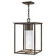 Hinkley - Coen Large Hanging Lantern - Lights Canada