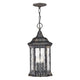 Hinkley - Regal Outdoor Pendant - Lights Canada