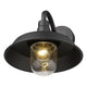 Acclaim - Burry Outdoor Wall Light - Lights Canada