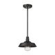 Acclaim - Burry Outdoor Pendant - Lights Canada