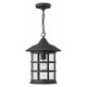 Hinkley - Hinkley Freeport Outdoor Pendant - Lights Canada
