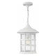Hinkley - Hinkley Freeport Outdoor Pendant - Lights Canada