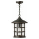 Hinkley - Hinkley Freeport Outdoor Pendant - Lights Canada