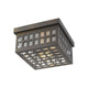 Acclaim - Letzel Outdoor Ceiling Light - Lights Canada