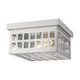 Acclaim - Letzel Outdoor Ceiling Light - Lights Canada