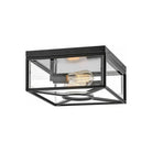 Hinkley - Hinkley Brixton Outdoor Ceiling Light - Lights Canada