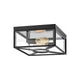 Hinkley - Hinkley Brixton Outdoor Ceiling Light - Lights Canada