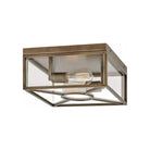 Hinkley - Hinkley Brixton Outdoor Ceiling Light - Lights Canada