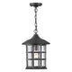 Hinkley - Freeport Outdoor Pendant - Lights Canada