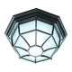 Acclaim - FlushMount Outdoor Ceiling Light - Lights Canada