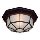 Acclaim - FlushMount Outdoor Ceiling Light - Lights Canada