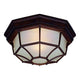 Acclaim - FlushMount Outdoor Ceiling Light - Lights Canada