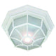 Acclaim - FlushMount Outdoor Ceiling Light - Lights Canada