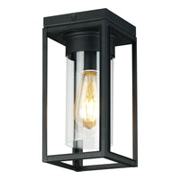 Walker Hill Outdoor Ceiling Light