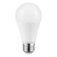 A19 LED Bulb