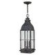 Hinkley - Bingham Outdoor Pendant - Lights Canada