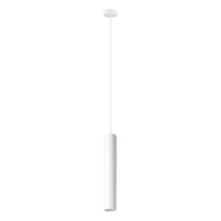 Tortoreto 1-Light Pendant
