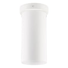 Eglo - Tortoreto 1-Light Flush Mount - Lights Canada