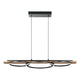 Eglo - Boyal LED Linear Suspension - Lights Canada