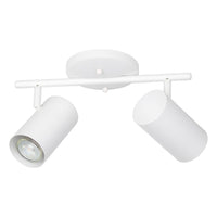 Calloway 2-Light Track Light