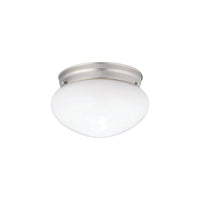 Ceiling Space Flush Mount