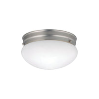 Ceiling Space Flush Mount