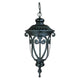 Acclaim - Naples Outdoor Pendant - Lights Canada