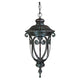 Acclaim - Naples Outdoor Pendant - Lights Canada