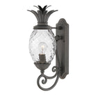 Hinkley - Plantation Outdoor Wall Light - Lights Canada