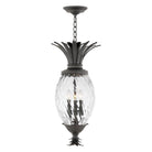 Hinkley - Plantation Outdoor Pendant - Lights Canada
