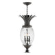 Hinkley - Plantation Outdoor Pendant - Lights Canada