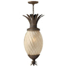 Hinkley - Plantation Outdoor Pendant - Lights Canada