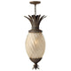Hinkley - Plantation Outdoor Pendant - Lights Canada